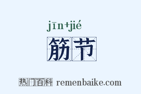 筋节是什么意思的图片